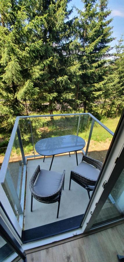 Apartman Nerudovka D 104, Finska Sauna, Garazove Stani Loučná pod Klínovcem Εξωτερικό φωτογραφία
